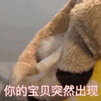 动图封面