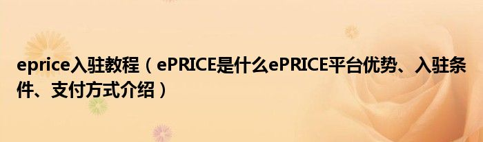 ePRICE平台支持什么支付方式？有哪些常见问题呢？