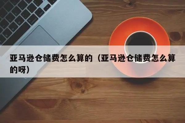 亚马逊美国站的仓储费如何收取（讲解亚马逊仓储的意思）