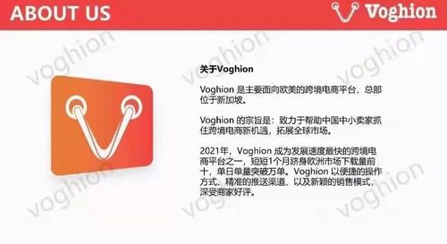 Voghion平台是否接受个体户入驻？个体户入驻条件解析！