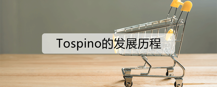 Tospino平台适合创业吗？探究平台运营情况与优势！