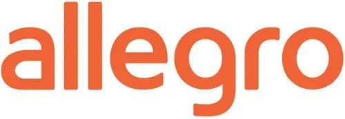 Allegro平台值得投入吗？畅销产品揭秘！