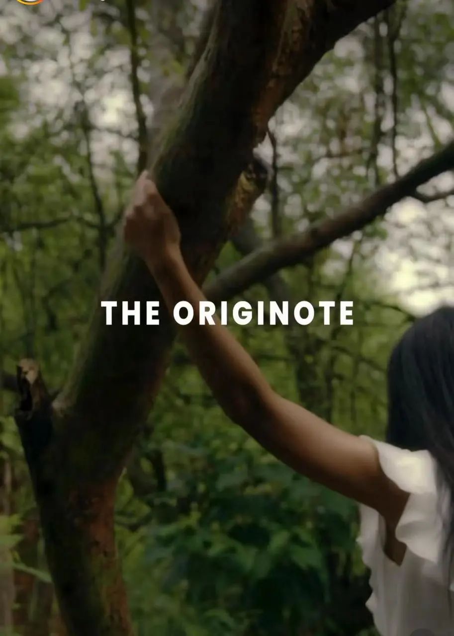 七五品牌 | The Originote如何成印尼TikTok美妆小店新销冠？