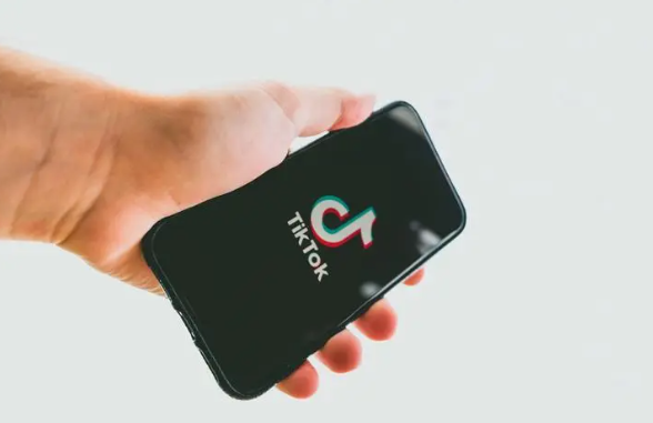 Tiktok shop东南亚开店流水要求（三方平台截图要求及图片示例）