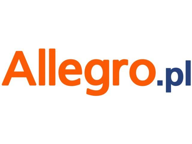 波兰allegro平台怎么入驻？卖家需要熟知这10点！