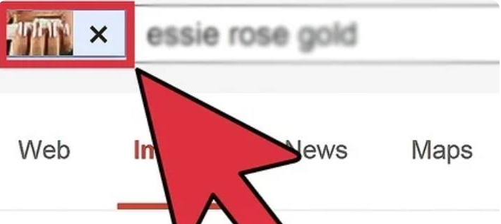 Google浏览器如何搜索图片？（分享简单好用的方法）