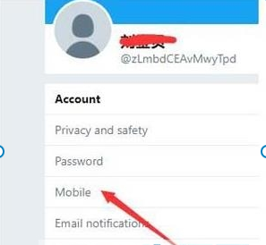 ios怎么上推特？苹果手机下载推特流程介绍