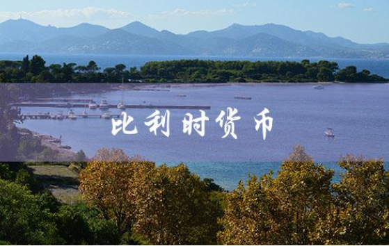 比利时货币法郎（比利时兑换人民币汇率是多少）