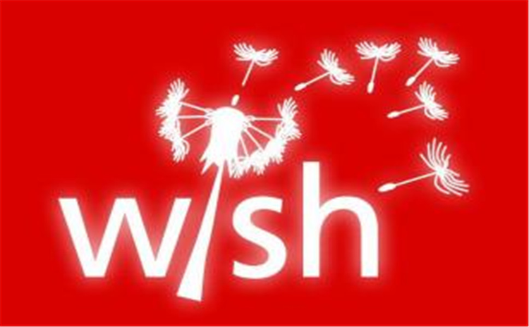 wish专线快递怎么发？具体发货步骤介绍！