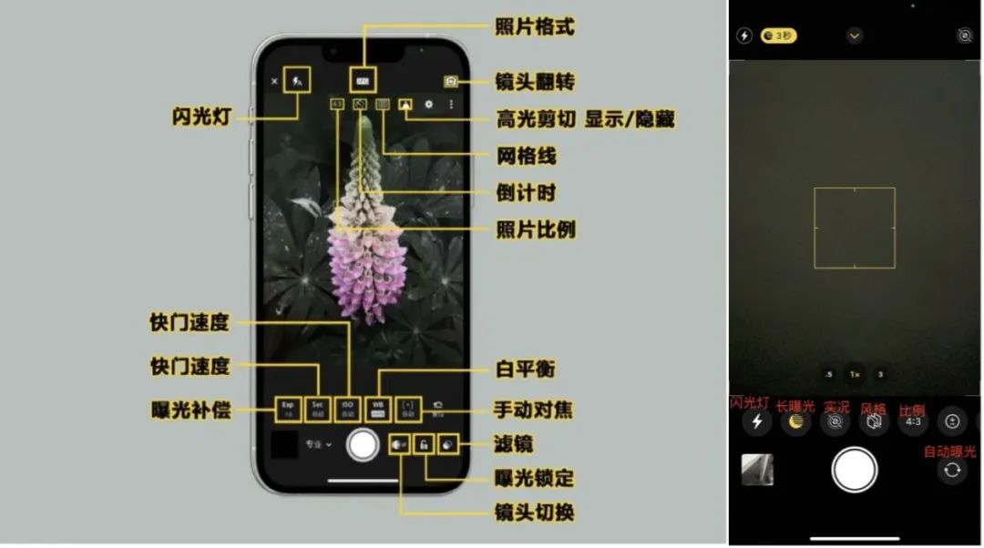 专业摄影App，一个被出海开发者占据的冷门品类？