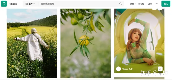 图片免费下载网站有哪些？10个高质量免费高清图库网站推荐