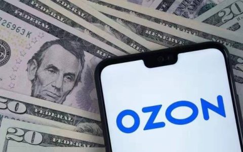 新手卖家怎样入驻OZON？平台开店的四种方法！