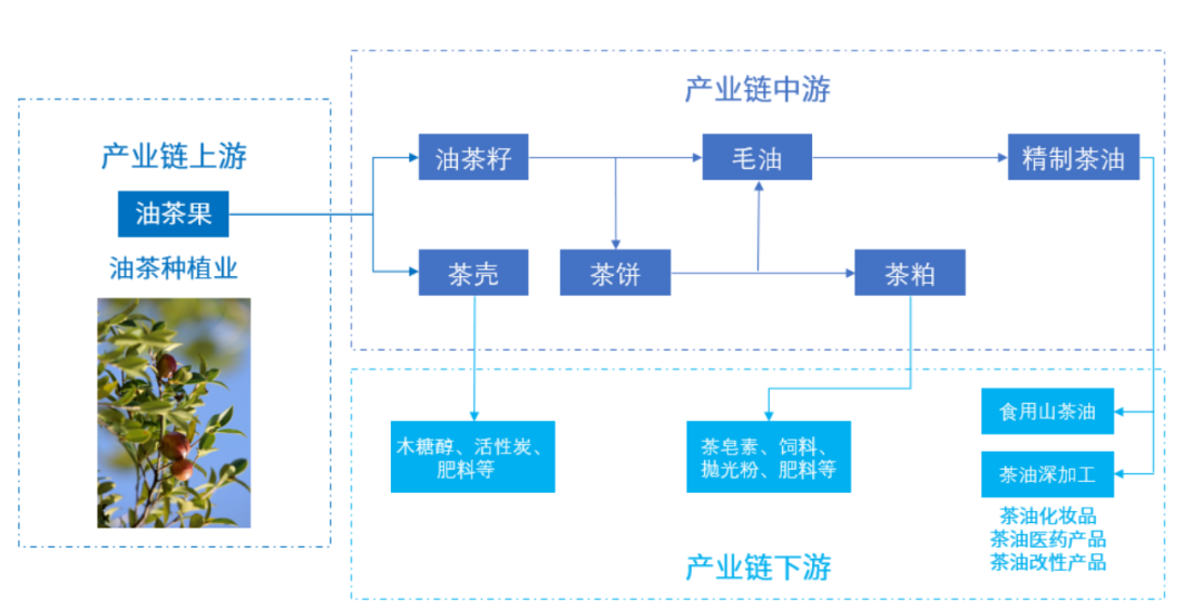 借外力修内功，食品生鲜产业带商家交出金秋答卷