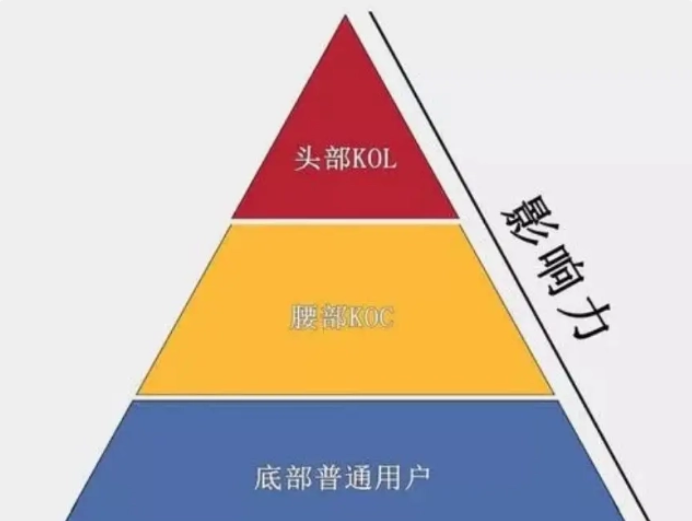kol和koc是什么意思？解析kol和koc区别