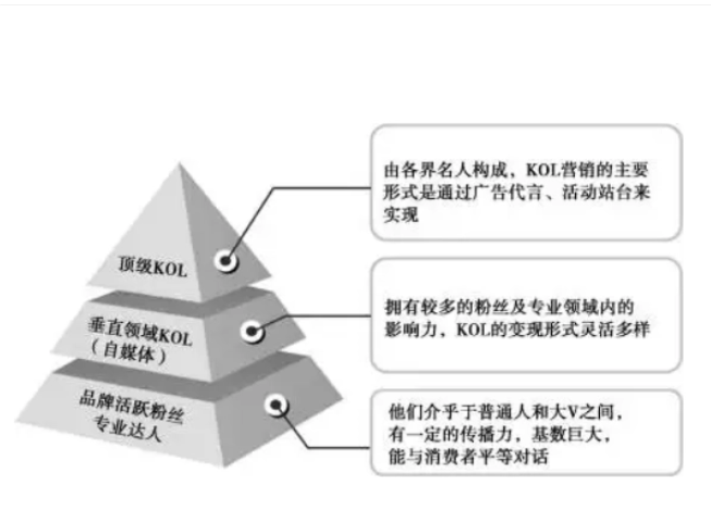 kol和koc是什么意思？解析kol和koc区别