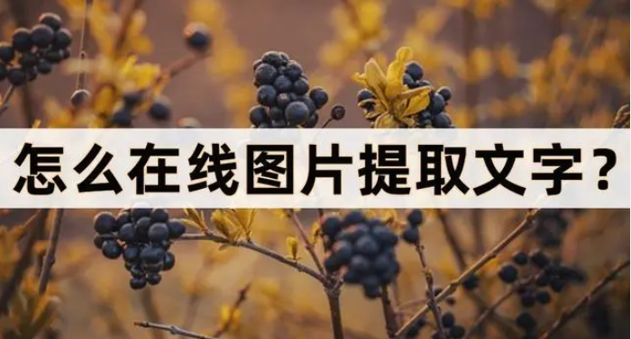 怎么在线图片提取文字？分享在线识别的四个方法