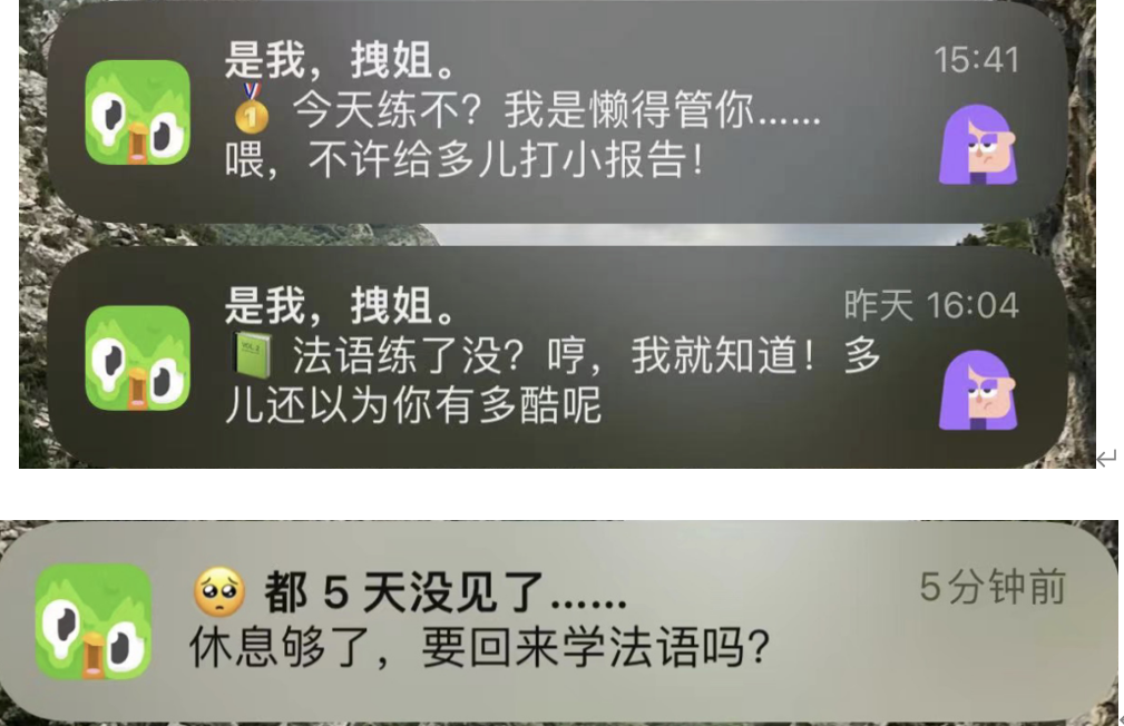 卷起来了，网易和谷歌都想抢Duolingo的生意