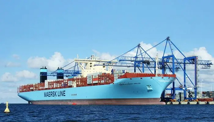 海运物流信息查询