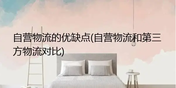 自营物流和第三方物流的优缺点（第三方物流的利弊分享）