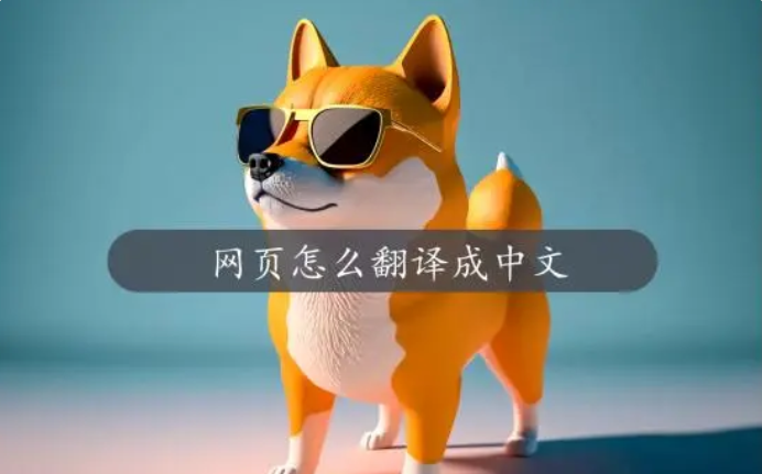 网页怎么翻译成中文？在线教你4个妙招