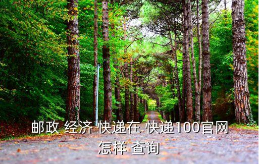邮局经济快递查询（解析如何查询国内快递包裹详细信息）