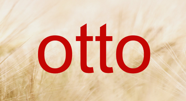 德国otto产品卖点可以包含促销信息吗？具体可以包括哪些信息？
