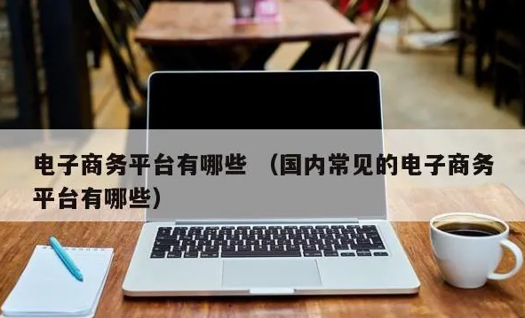 国内的电商网站都有哪些? （国内常见的电子商务平台推荐）