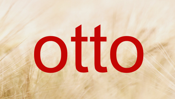 德国otto关键词多少个字符合适？卖家应如何优化商品信息？