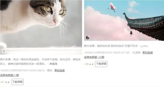 免版权图库网站有哪些？9个免费无版权图片网站推荐