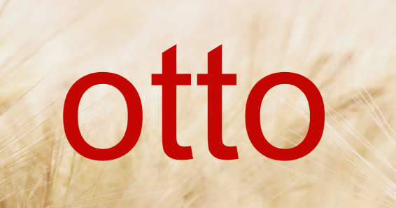 德国Otto库存收费标准是怎样的？具体包含哪些费用类型？