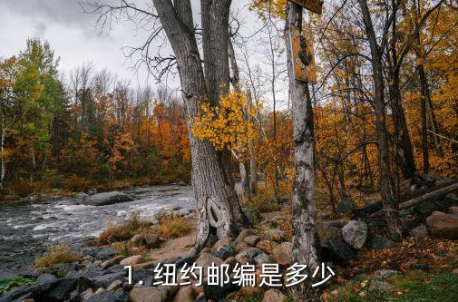 美国纽约邮编是多少？纽约邮编的使用方法介绍