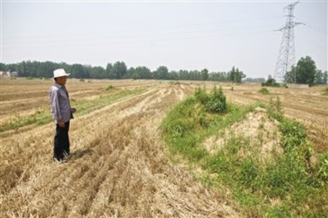 这些中国百亿产业带，由餐桌配角打造