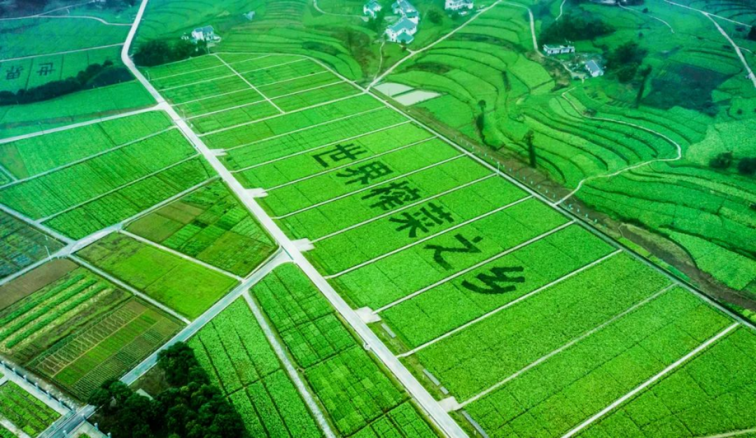 这些中国百亿产业带，由餐桌配角打造