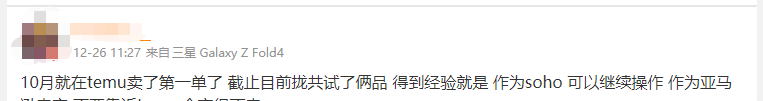入驻Temu风险在哪？平台发展分析！