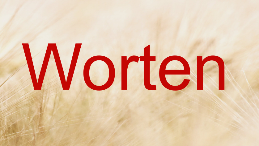 葡萄牙worten搜索词如何进行分析？如何更好的满足用户需求？