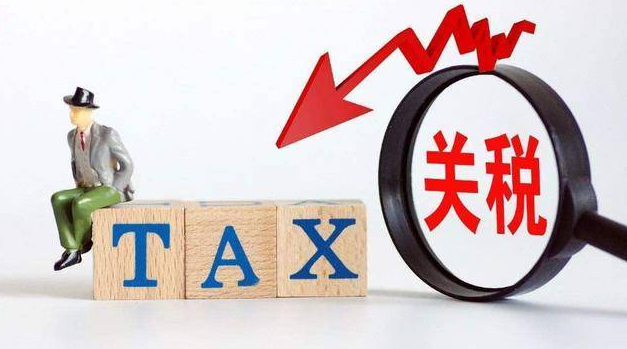 俄罗斯进口关税查询(海关进口税费查询方法步骤）