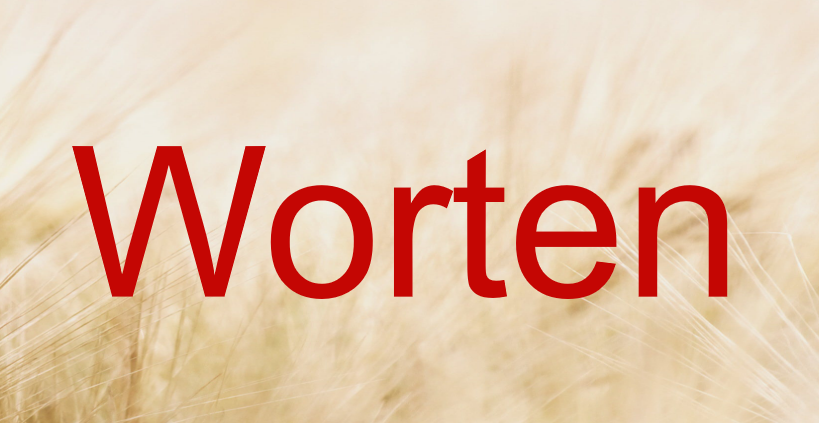 葡萄牙Worten库存回收计划是什么？有哪些效果和影响？
