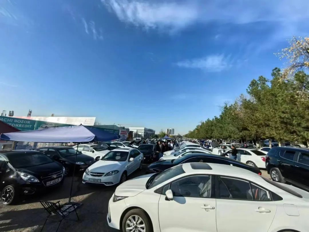 36氪出海·新能源｜卖车到中亚，新能源车“倒爷”登上舞台