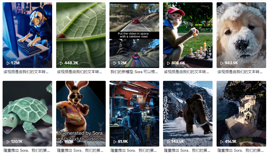 TikTok冰火两重天：被Sora独宠，被欧盟“抓典型” | 跨境焦点