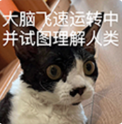 一度登顶日榜，日本人偏爱AI大叔？
