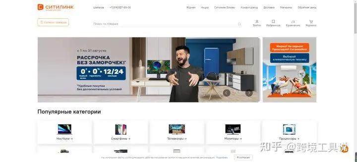 俄罗斯商品网购平台哪个好？俄罗斯热门电商平台排行榜