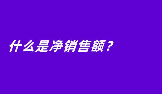什么是净销售额？影响净销售额的成本有哪些？
